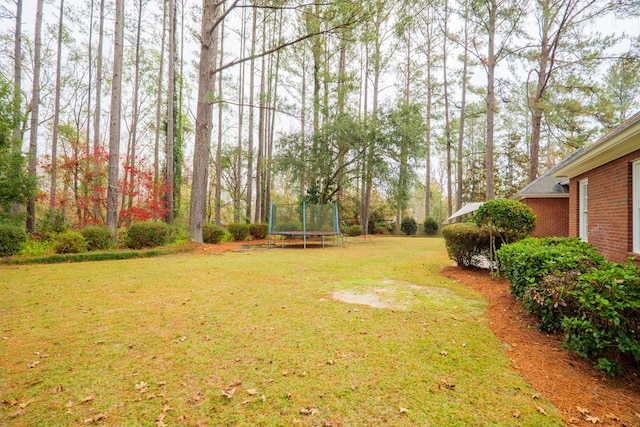 view of yard with a trampoline