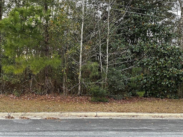 0 Marcia Ave, Thomasville GA, 31792 land for sale