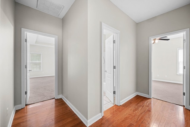 4143 Whithorn Way, Valdosta, GA 31605 - hall with light wood-style floors and baseboards