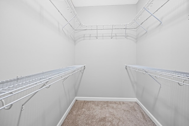 4143 Whithorn Way, Valdosta, GA 31605 - spacious closet featuring carpet