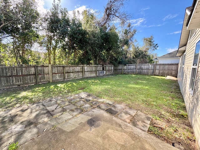 view of yard featuring a patio