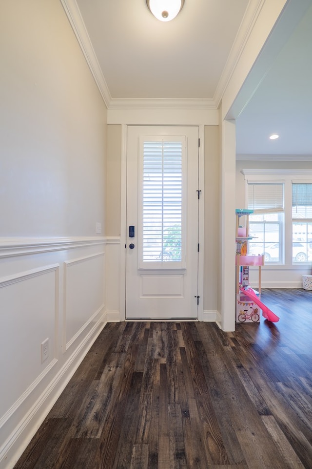 doorway featuring dark hardwood / wood-style flooring, crown molding, and a wealth of natural light