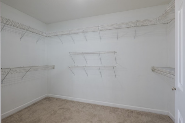5547 N Danieli Dr, Lake Park, GA 31636 - photo 32