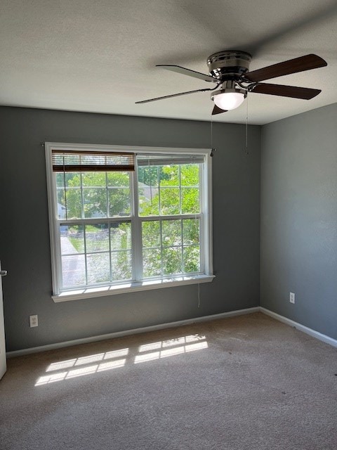 2713 Pineview Dr Unit A & B, Valdosta, GA 31602 - photo 15
