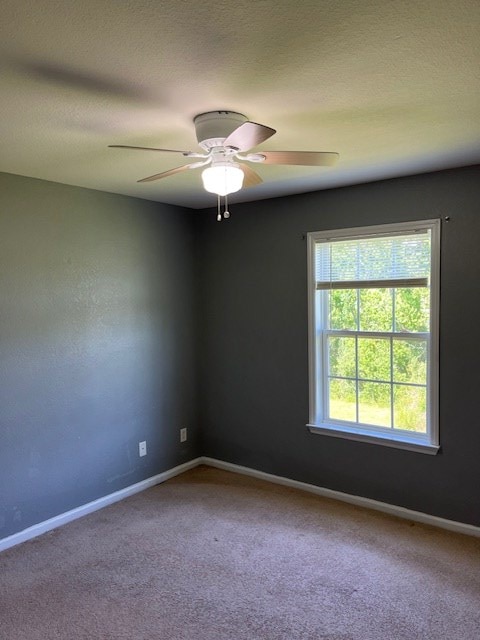 2713 Pineview Dr Unit A & B, Valdosta, GA 31602 - photo 17
