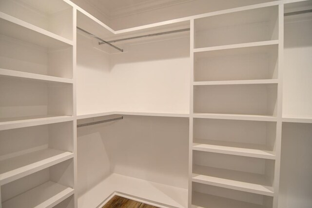 3039 Mary Powell Way, Hahira, GA 31632 - view of spacious closet