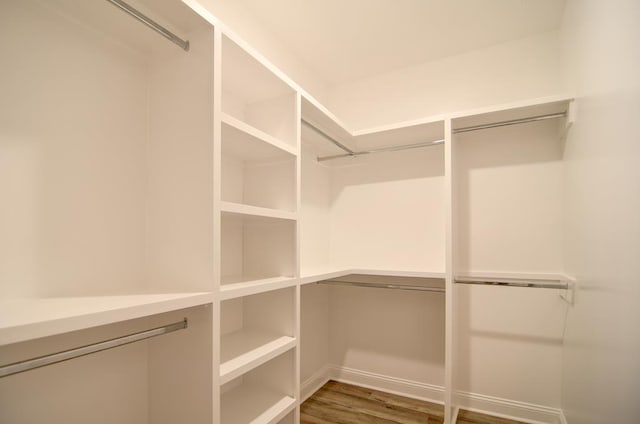 3039 Mary Powell Way, Hahira, GA 31632 - walk in closet with wood finished floors