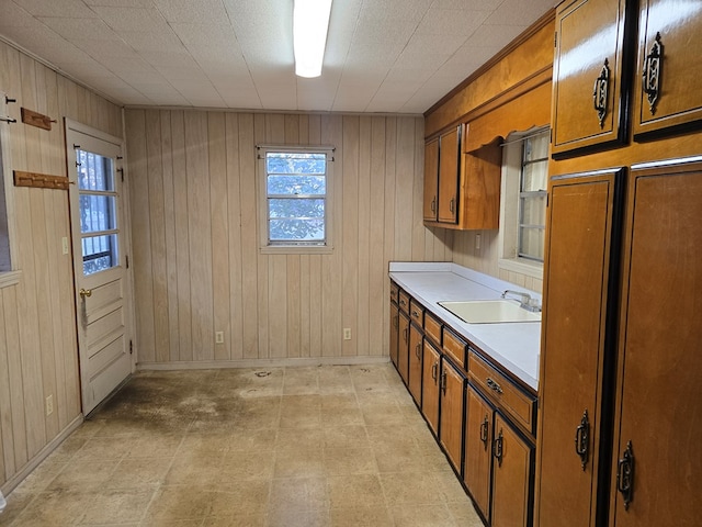 kitchen featuring sink and wood walls