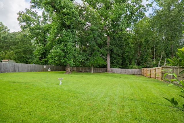 5080 Carlton Ridge Cir, Hahira, GA 31632 - view of fenced backyard