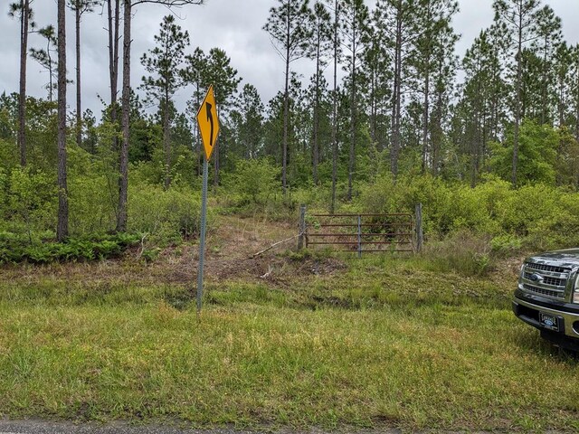 LOT2A Mcmillan Rd, Hahira, GA 31632