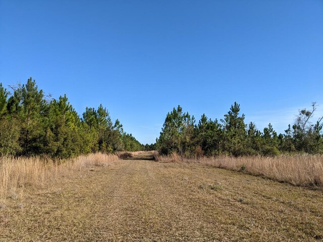 LOT2A Mcmillan Rd, Hahira, GA 31632