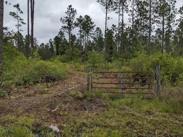 LOT2A Mcmillan Rd, Hahira, GA 31632