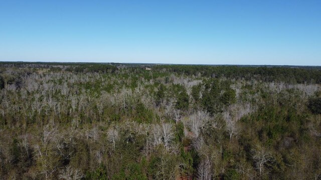 LOT2A Mcmillan Rd, Hahira, GA 31632