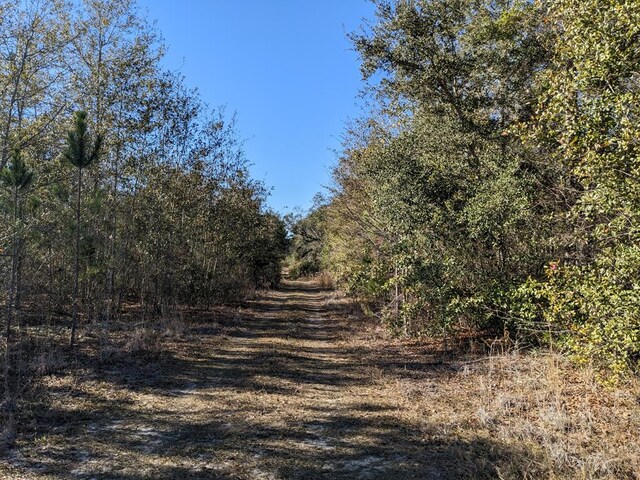 LOT2A Mcmillan Rd, Hahira, GA 31632
