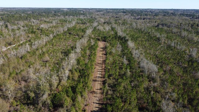 LOT2A Mcmillan Rd, Hahira, GA 31632