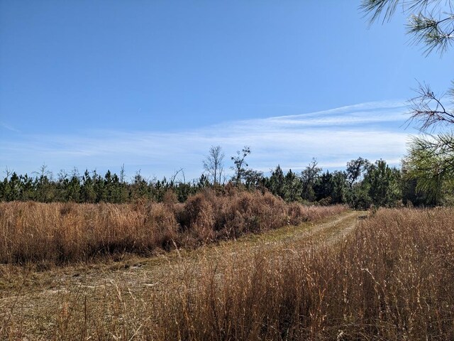 LOT2A Mcmillan Rd, Hahira, GA 31632