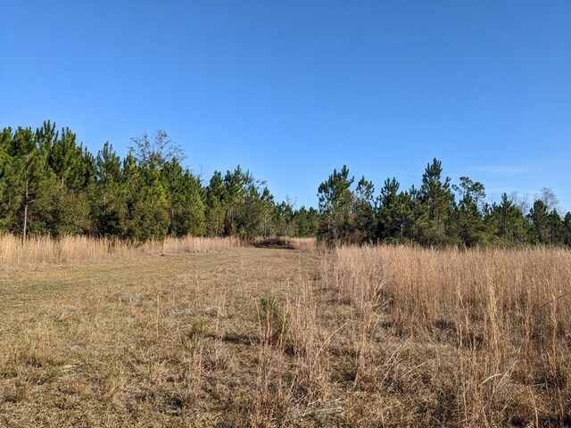 LOT2A Mcmillan Rd, Hahira, GA 31632