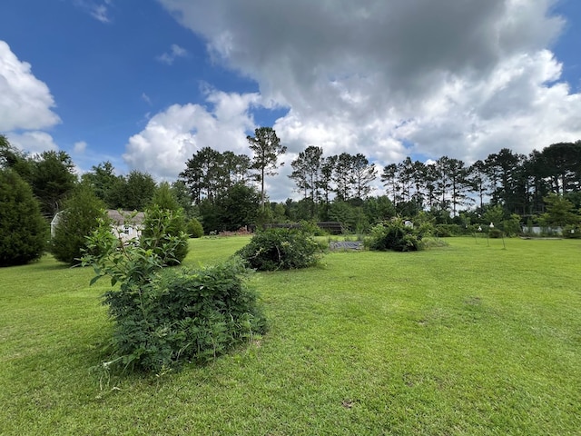 5612 Emily Ln, Hahira, GA 31632 - view of green lawn featuring view of wooded area