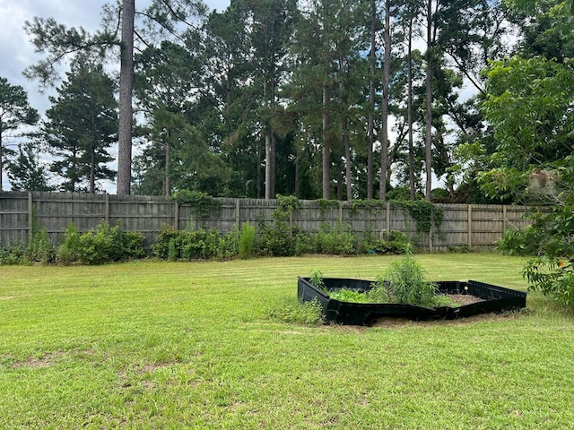 5612 Emily Ln, Hahira, GA 31632 - view of yard