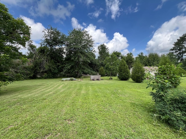5612 Emily Ln, Hahira, GA 31632 - view of green lawn