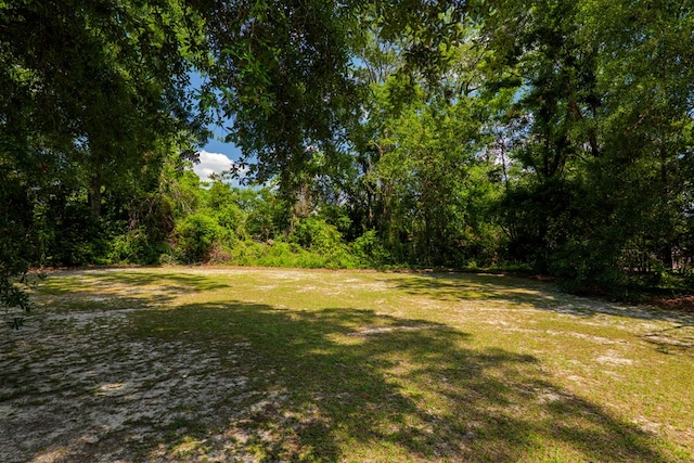 812 Tanglewood Dr, Valdosta, GA 31602 - view of grassy yard