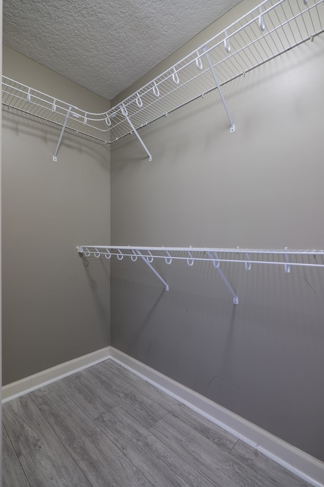 walk in closet featuring hardwood / wood-style flooring