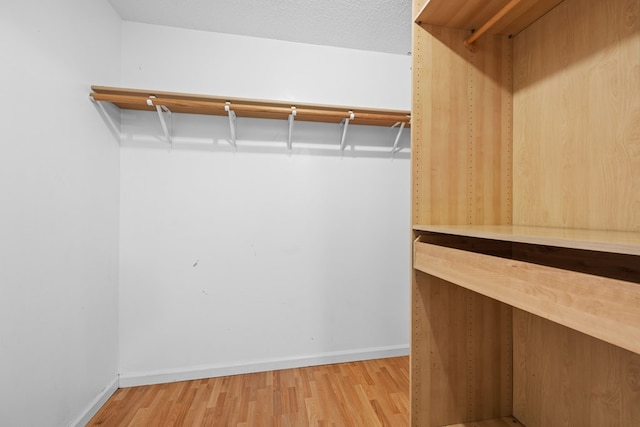 4312 Shiloh Trce, Valdosta, GA 31602 - walk in closet featuring light wood-style floors