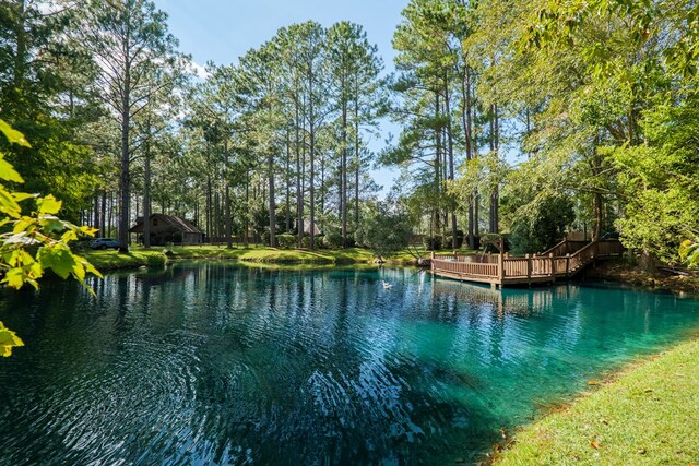 2231 Nell Purvis Rd, Adel, GA 31620 - photo 47