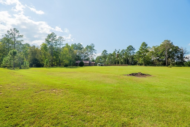 2231 Nell Purvis Rd, Adel, GA 31620 - photo 55