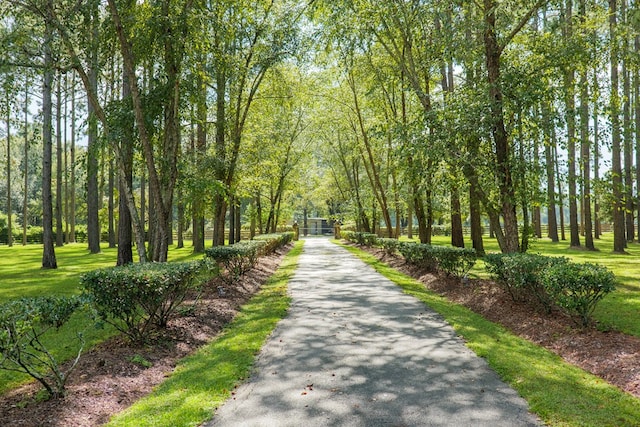 view of property's community featuring a lawn