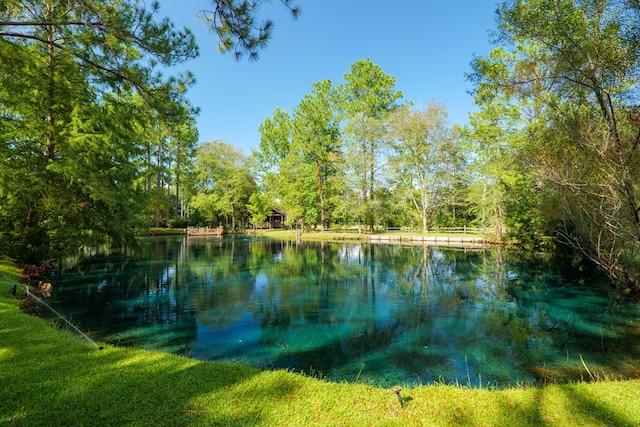 2231 Nell Purvis Rd, Adel, GA 31620 - photo 44