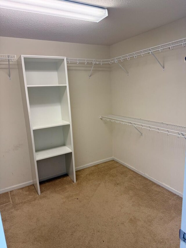 2435 Muscogee Dr, Valdosta, GA 31602 - photo 14