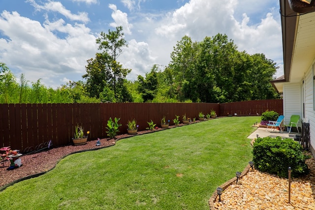4137 Nelson Hill Pl, Hahira, GA 31632 - fenced backyard with a patio area