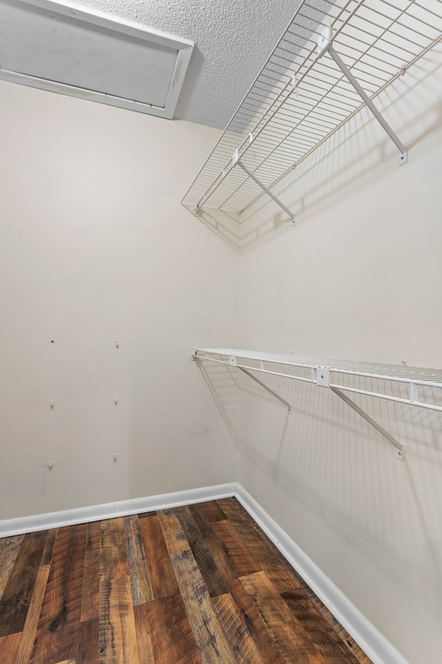 spacious closet featuring wood finished floors