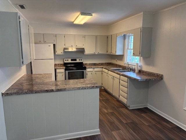 kitchen with freestanding refrigerator, a peninsula, under cabinet range hood, stainless steel electric stove, and a sink
