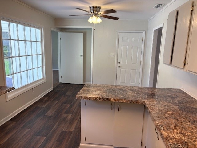 kitchen featuring crown molding, ceiling fan, visible vents, and dark wood-type flooring