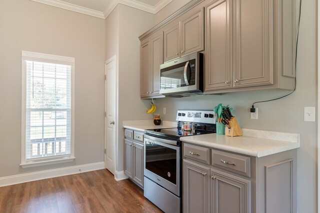 kitchen with dark hardwood / wood-style floors, gray cabinets, and stainless steel appliances