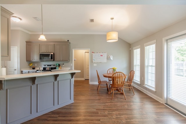 kitchen featuring gray cabinetry, dark hardwood / wood-style floors, decorative light fixtures, and appliances with stainless steel finishes