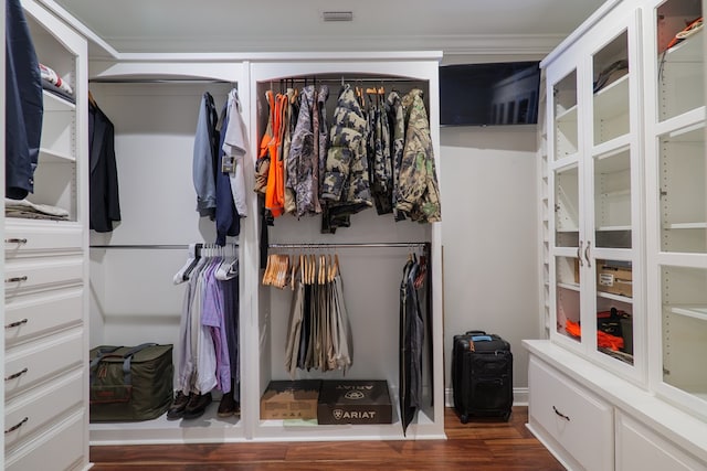 spacious closet with dark wood-type flooring