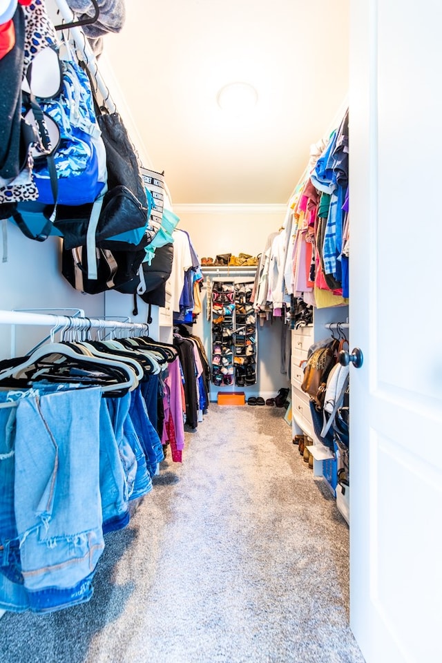 spacious closet with carpet