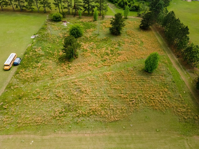 bird's eye view with a rural view