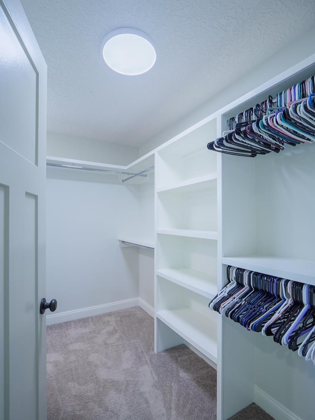 5674 Clydetta Dr, Lake Park, GA 31636 - walk in closet featuring carpet floors