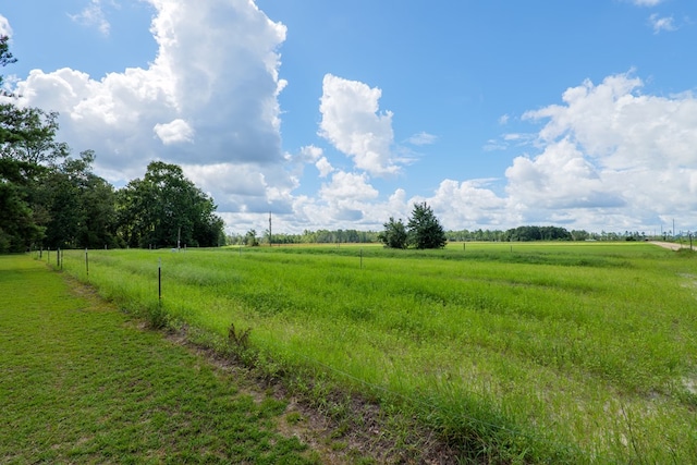 view of local wilderness featuring a rural view