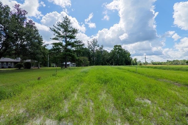 view of yard with a rural view