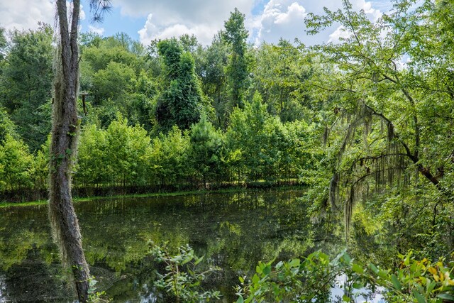 view of local wilderness