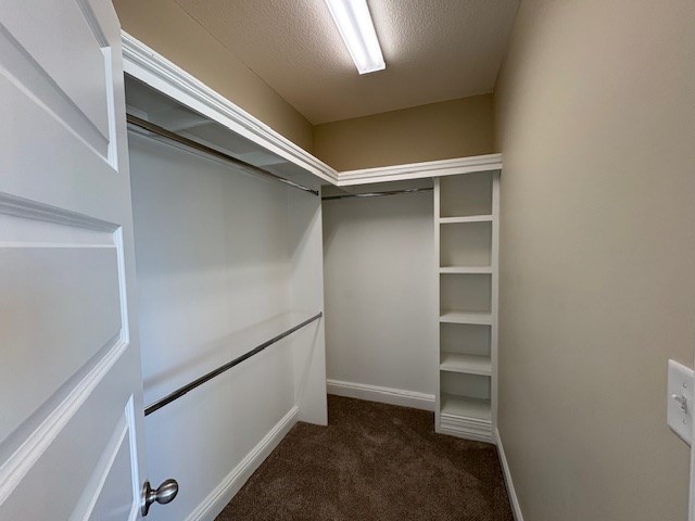 walk in closet featuring dark colored carpet