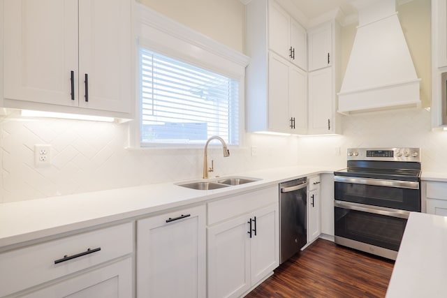 kitchen with dark wood-type flooring, a sink, light countertops, appliances with stainless steel finishes, and custom exhaust hood