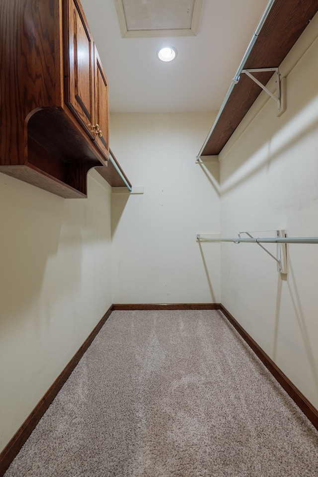 4849 Oak Arbor Dr, Valdosta, GA 31602 - spacious closet with carpet flooring