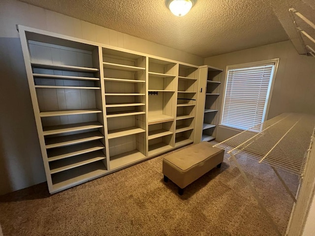 walk in closet with carpet floors