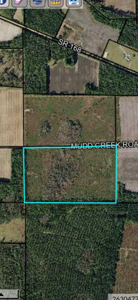 0 Mud Crk, Nashville, GA 31639 - photo 1